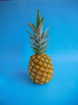 Pineapple on Blue Background Stock Photos