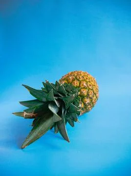 Pineapple on Blue Background Stock Photos