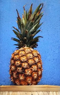 Pineapple on blue background  Stock Photos