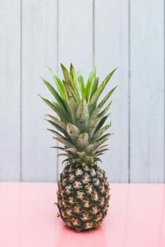 Pineapple on a blue pastel background Stock Photos