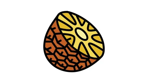 Pineapple brown yellow color icon animation Stock Footage 225057133