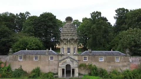 Pineapple Building (Drone Fly over) Stock Footage 263330792