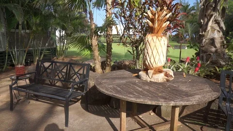 Pineapple carving Stock Footage 104785322