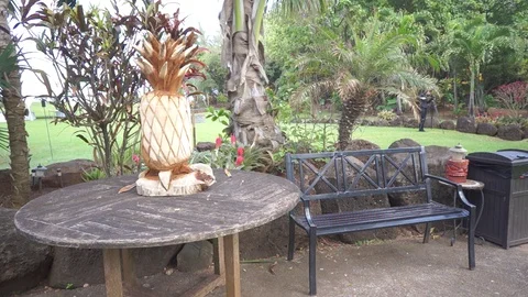 Pineapple carving Stock Footage 104785473