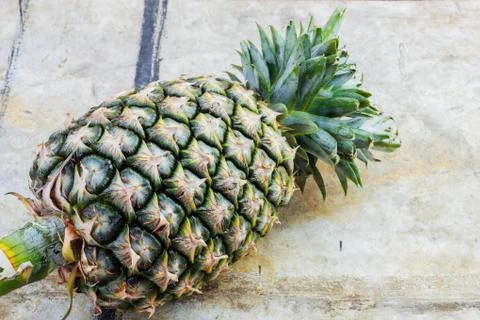 Pineapple on cement. Stock Photos