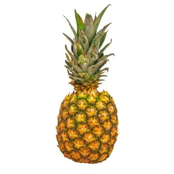 Pineapple close-up 3d rendering with realistic texture 스톡 일러스트