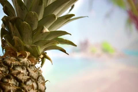Pineapple close up on the beach background Foto stock