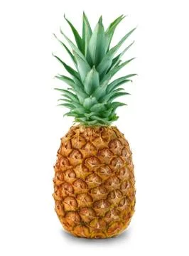 Pineapple close-up isolated on a white background. Stock Photos