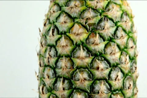 Pineapple close loop NTSC Stock Footage 735120