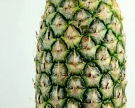 Pineapple close loop PAL 스톡 동영상 735619