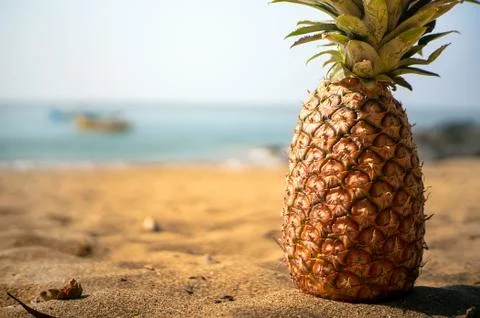 Pineapple close up lying on a sandy beach against Stock Photos
