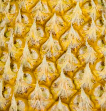 Pineapple close-up 스톡 사진