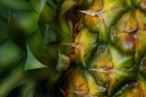 Pineapple close up Stock Photos