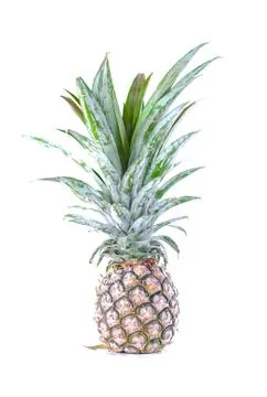 Pineapple close up on white background Stock Photos