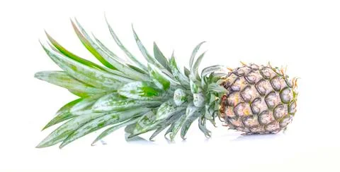 Pineapple close up on white background Stock Photos