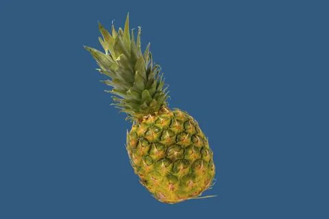 Pineapple on a color background. Clipping path. Golden ripe pineapple fruit on a Фото