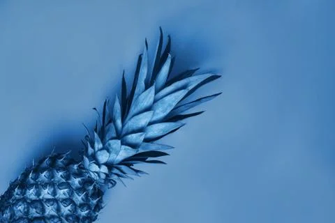 Pineapple with copy space, blue toned photo. Stock Photos