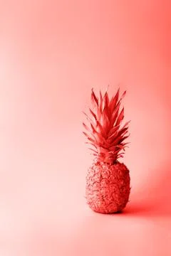 Pineapple on a coral background Stock Photos