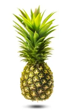 Pineapple crop isolated Stock Photos