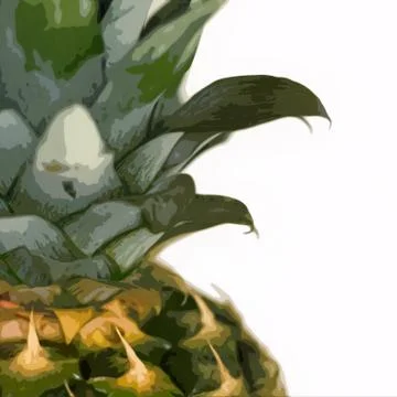 Pineapple crown Stock Photos