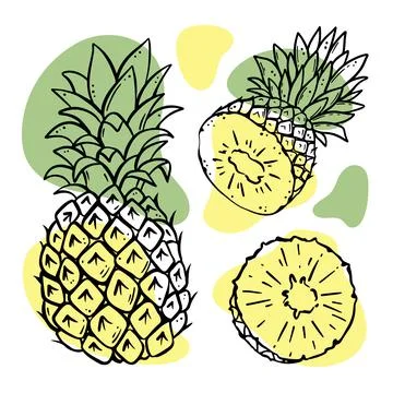 PINEAPPLE Delicious Fruit Sketch Vector Illustration Set 스톡 일러스트