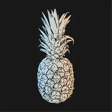 PINEAPPLE DESIGN. Can be use as poster, wall art, card, print... Stock Illustration