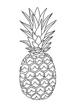 Pineapple doodle, hand drawn with brush pen Stock Illustration