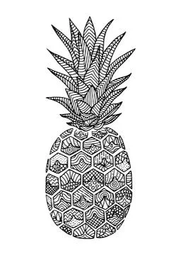 Pineapple doodle, hand drawn with brush pen Stock Illustration