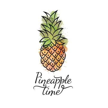 Pineapple drawing with watercolor drops. Stock Illustration