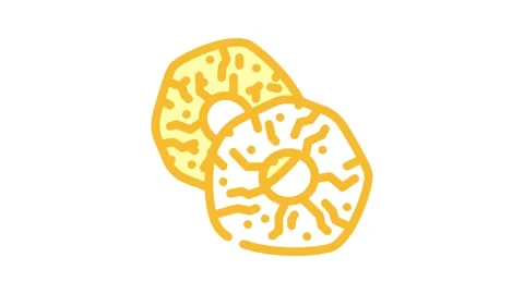Pineapple dried fruit color icon animation Stock Footage 327270256