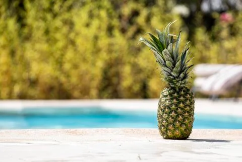 Pineapple on the edge of a swimming pool. Stock Photos