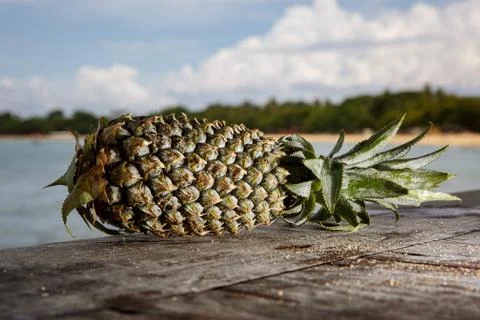 Pineapple on an exotic beach background. Stock Photos