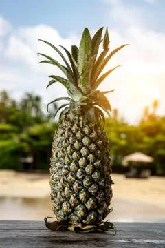 Pineapple on an exotic beach background. Stock Photos