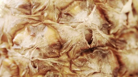 Pineapple extreme close up presentation stock footage Stock Footage 78595556