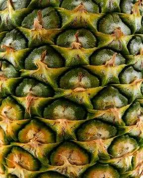 Pineapple Eye isolated Stock Photos