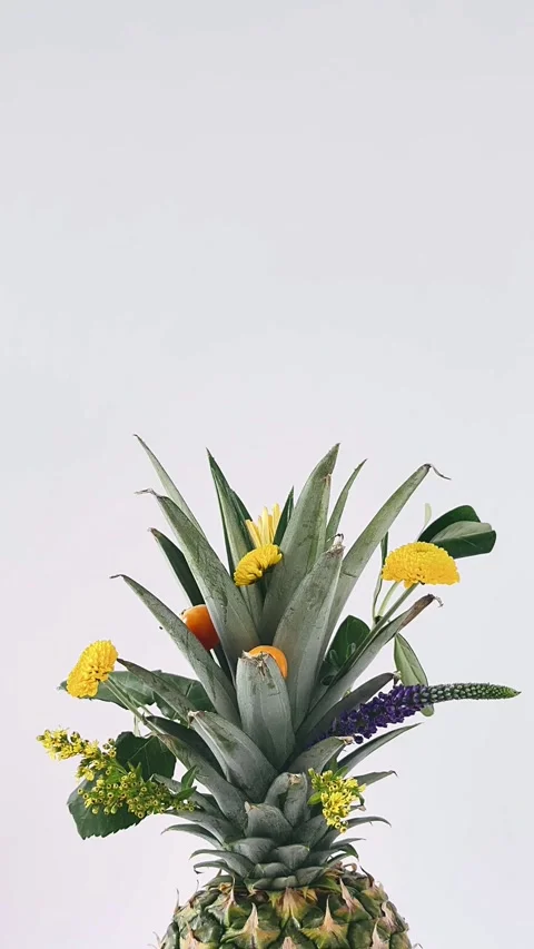 Pineapple floral arrangement Stock Footage 312905709