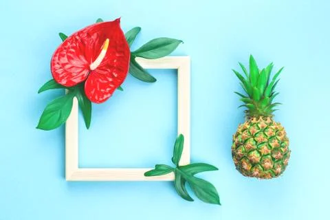 Pineapple, flower and leaves frames on blue background Stock Photos