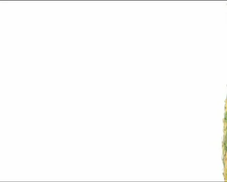 Pineapple flyby PAL Stock Footage 735151