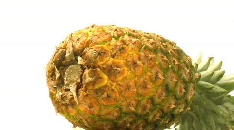 Pineapple Stock Footage 344614