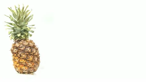 Pineapple Stock Footage 11071922