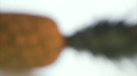 A pineapple Stock Footage 11305836