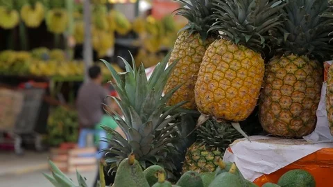 Pineapple Stock Footage 103032398