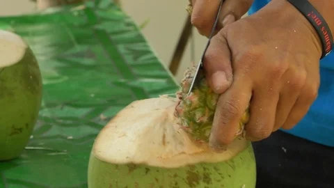 Pineapple Stock Footage 112324997