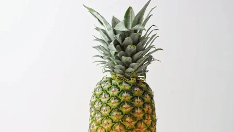 Pineapple Stock Footage 187634005