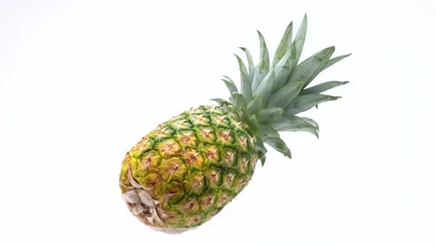 Pineapple Stock Footage 277027120