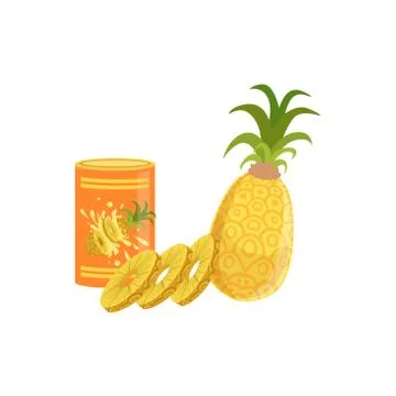 Pineapple Fresh And From A Can Set Of Pizza Ingredients Stock Illustration