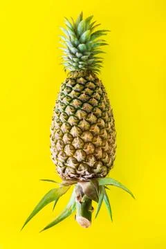 Pineapple, fresh fruit Stock Photos