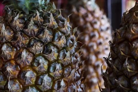 Pineapple fruit background. Close up of tropical pineapples texture. Stock Photos