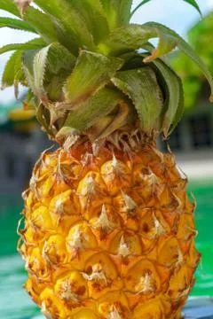 Pineapple fruit background. Close up of tropical pineapples texture. Summer,  Stock Photos
