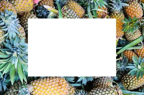 Pineapple Fruit background. Frame with free space for text. Foto stock